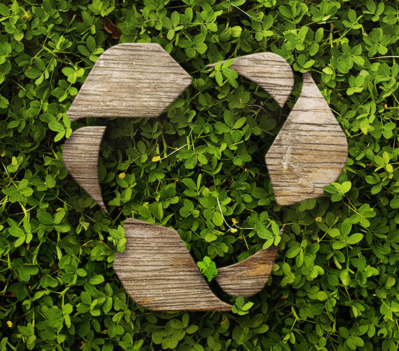 políticas de desarrollo sustentable, empresas amigables con el medio ambiente, gestión de residuos y desperdicios para ser sustentable